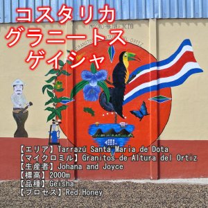 画像3: 【ポストに投函ネコポス配送】トップオブトップ・スペシャルティコーヒーセット　(100g×3種類) (3)