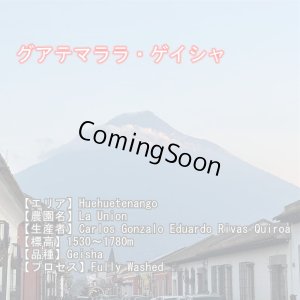 画像2: トップオブトップ・スペシャルティコーヒーセット　(250g×3種類) (2)