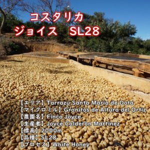 画像3: スペシャルティコーヒーセット(200g×4種類) (3)