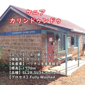 【豆珈房】ケニア・カリンドゥンドゥ
