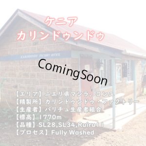 画像4: トップオブトップ・スペシャルティコーヒーセット　(250g×3種類) (4)