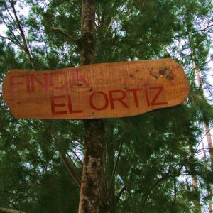 コスタリカ・オルティス1800