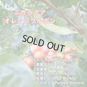 画像2: ニカラグア・エルススピロ農園　中煎り　(100g) (2)